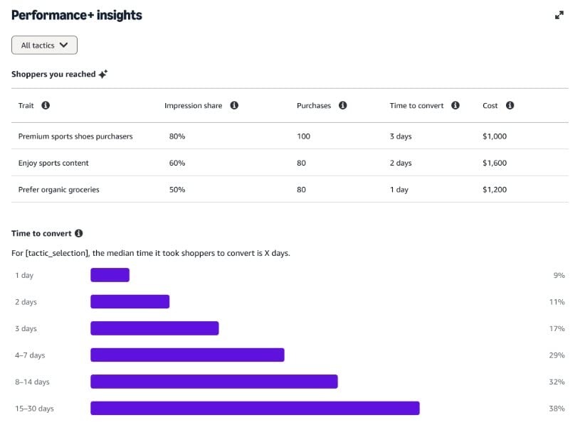 Performance+ and Brand+ tactics setup image-4