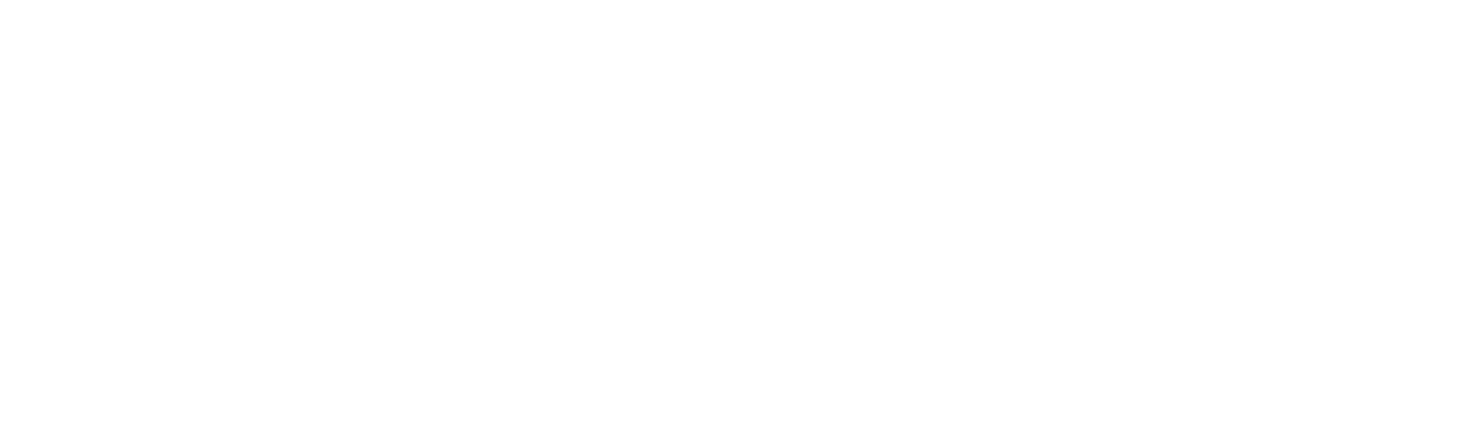 Logo des Kunden ANS Performance
